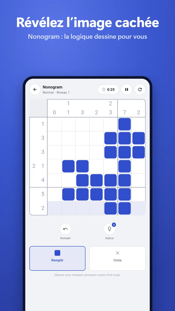 Une grille de Nonogram dans LOGIQA